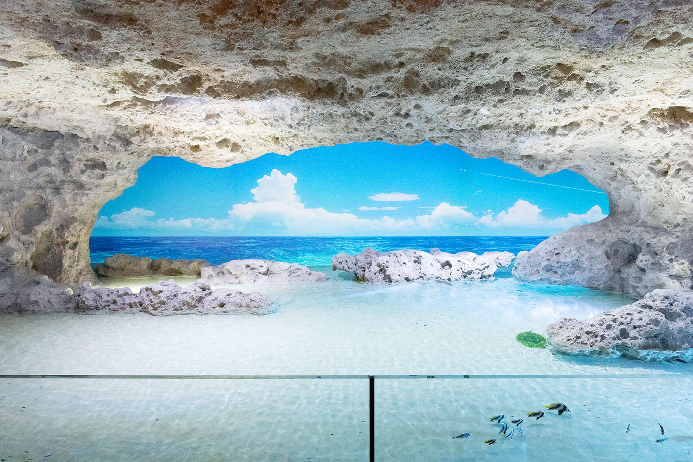 DMM Kariyushi水族館門票