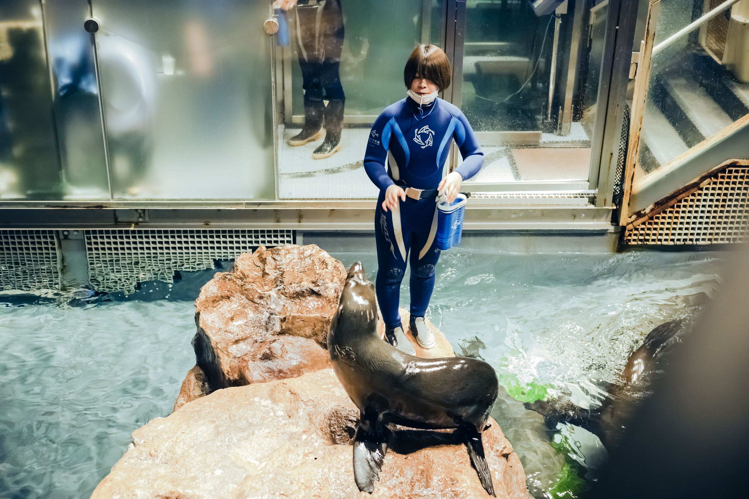 すみだ水族館 入場券
